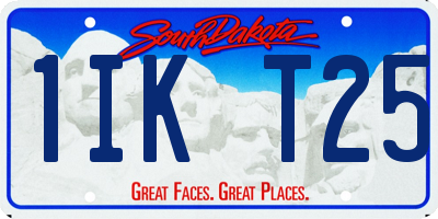 SD license plate 1IKT25