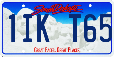 SD license plate 1IKT65
