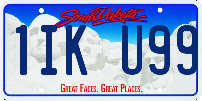 SD license plate 1IKU99