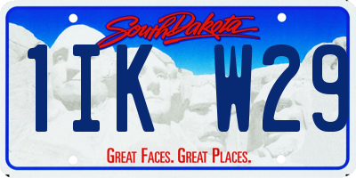 SD license plate 1IKW29
