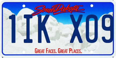 SD license plate 1IKX09