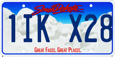 SD license plate 1IKX28