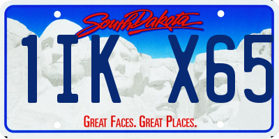 SD license plate 1IKX65