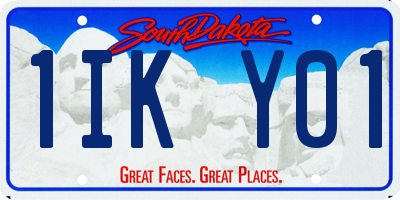 SD license plate 1IKY01