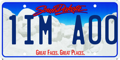 SD license plate 1IMA00
