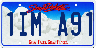 SD license plate 1IMA91