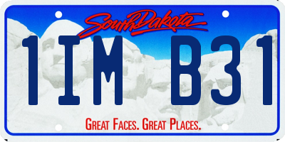 SD license plate 1IMB31