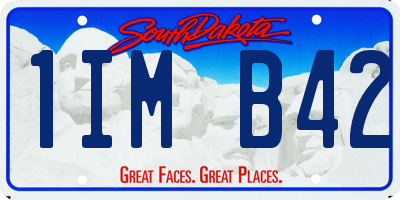 SD license plate 1IMB42