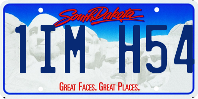 SD license plate 1IMH54