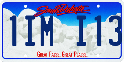 SD license plate 1IMI13