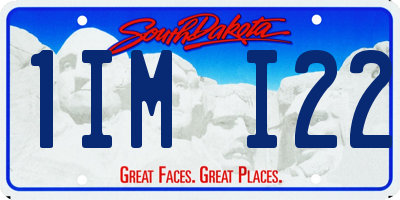 SD license plate 1IMI22