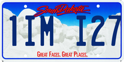 SD license plate 1IMI27