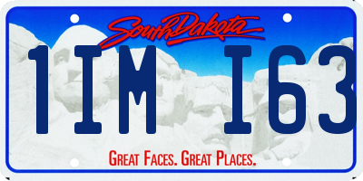 SD license plate 1IMI63