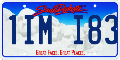 SD license plate 1IMI83