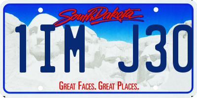 SD license plate 1IMJ30