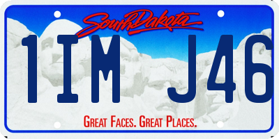 SD license plate 1IMJ46
