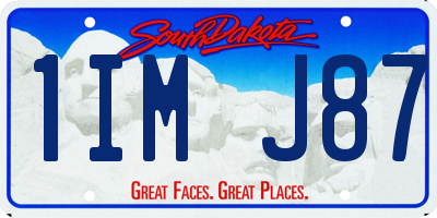 SD license plate 1IMJ87