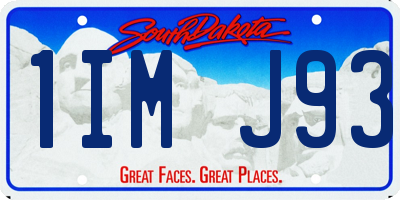 SD license plate 1IMJ93