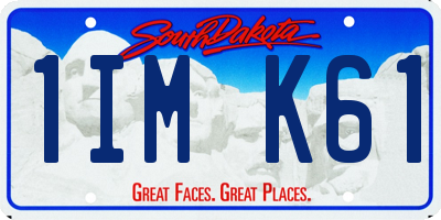 SD license plate 1IMK61