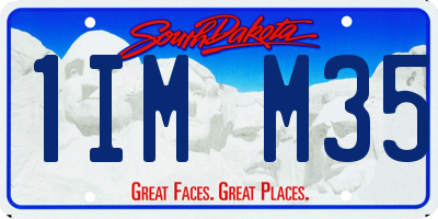 SD license plate 1IMM35