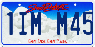 SD license plate 1IMM45