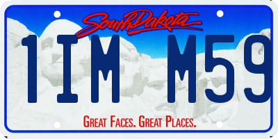 SD license plate 1IMM59