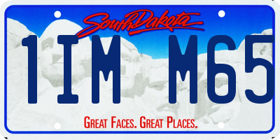 SD license plate 1IMM65