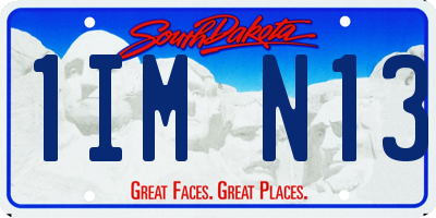 SD license plate 1IMN13