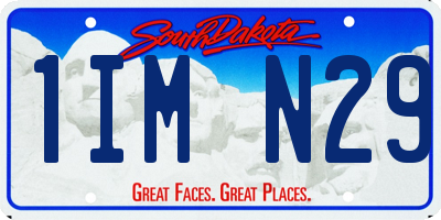 SD license plate 1IMN29