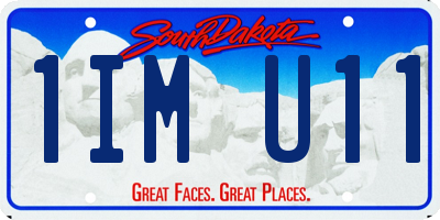SD license plate 1IMU11