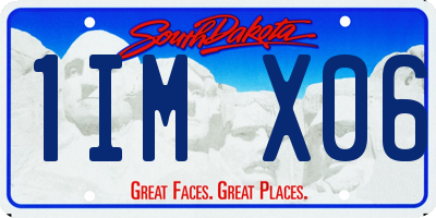 SD license plate 1IMX06