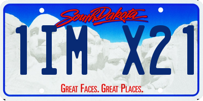 SD license plate 1IMX21