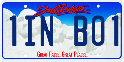 SD license plate 1INB01