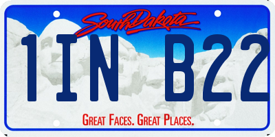 SD license plate 1INB22