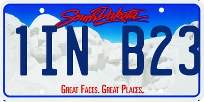 SD license plate 1INB23