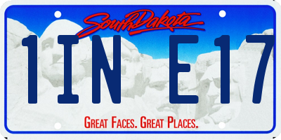 SD license plate 1INE17