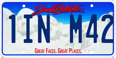 SD license plate 1INM42