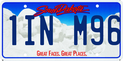 SD license plate 1INM96