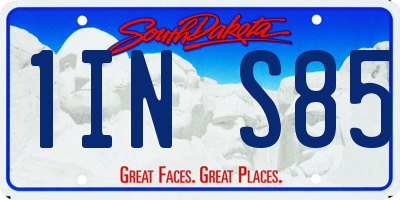 SD license plate 1INS85