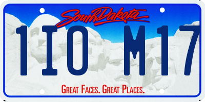 SD license plate 1IOM17