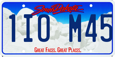 SD license plate 1IOM45
