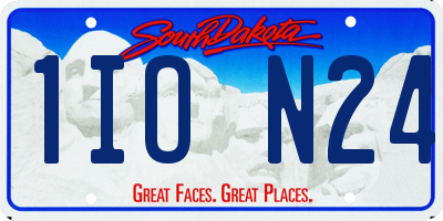 SD license plate 1ION24