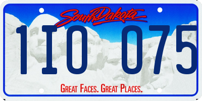 SD license plate 1IOO75