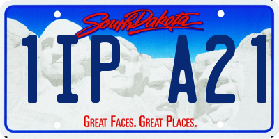 SD license plate 1IPA21