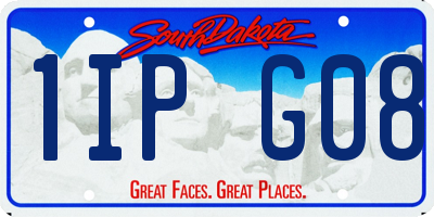 SD license plate 1IPG08