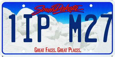 SD license plate 1IPM27