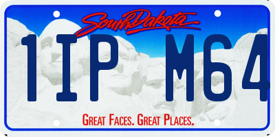 SD license plate 1IPM64