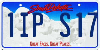 SD license plate 1IPS17