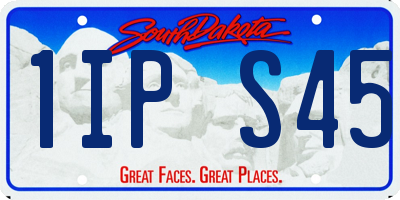 SD license plate 1IPS45