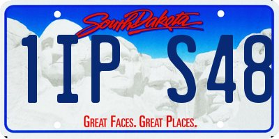 SD license plate 1IPS48